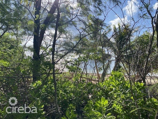 GUN BAY, EAST END - 2 LAND PARCELS - 1 BEACHFRONT