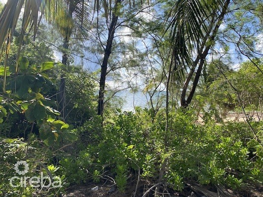 GUN BAY, EAST END - 2 LAND PARCELS - 1 BEACHFRONT