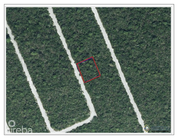 DOLPHIN ESTATES LOT, CAYMAN BRAC