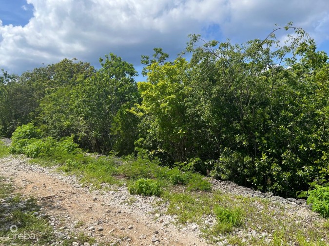 CAYMAN BRAC BLUFF - CORNER LOT - ALTA VISTA .35 ACRE