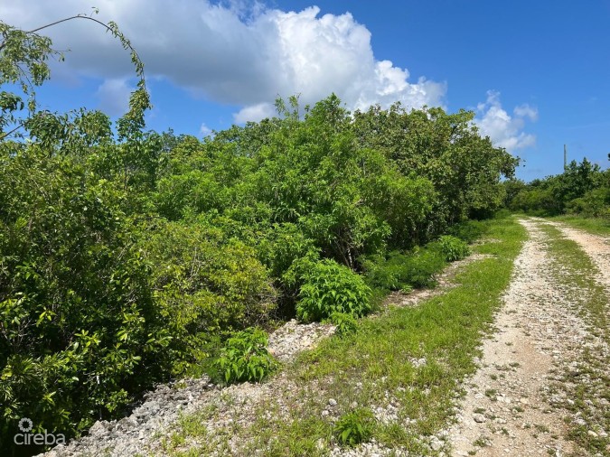 CAYMAN BRAC BLUFF - CORNER LOT - ALTA VISTA .31 ACRE