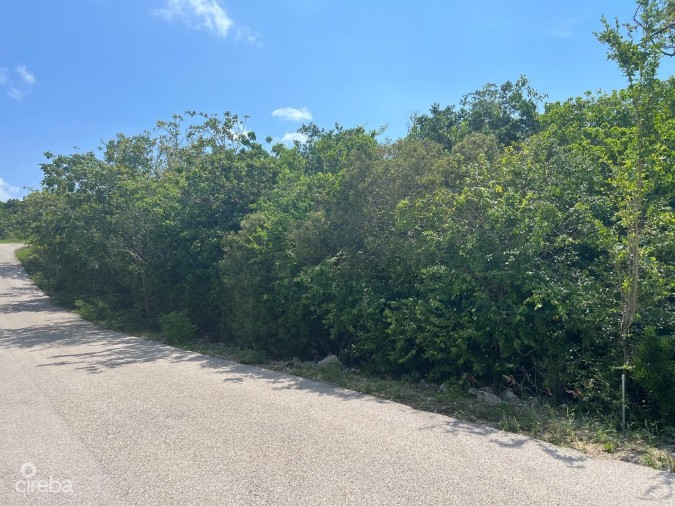 CAYMAN BRAC BLUFF - CORNER LOT - ALTA VISTA .31 ACRE