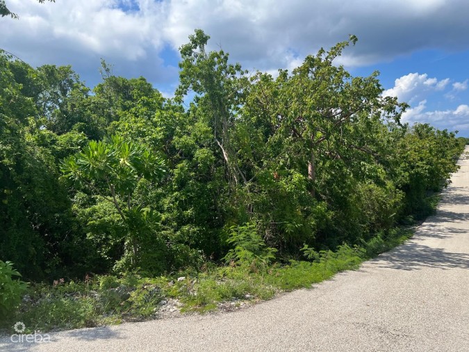 CAYMAN BRAC BLUFF - CORNER LOT - ALTA VISTA .31 ACRE