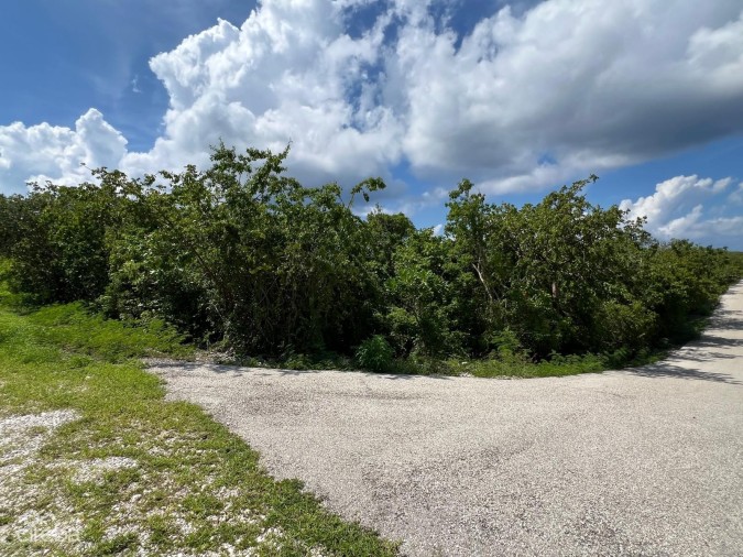 CAYMAN BRAC BLUFF - CORNER LOT - ALTA VISTA .31 ACRE