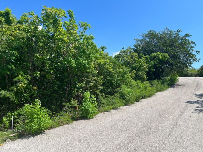 CAYMAN BRAC BLUFF - DOUBLE CORNER LOT - ALTA VISTA .66 ACRE