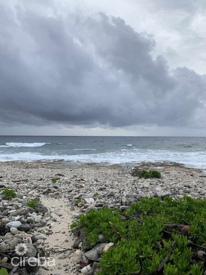 SOON COME - SOUTH SIDE EAST OCEAN FRONT LAND