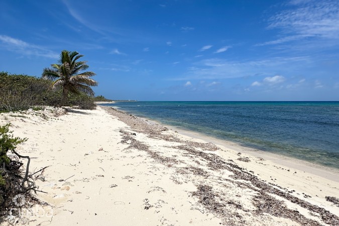 BEACH FRONT LAND LITTLE CAYMAN