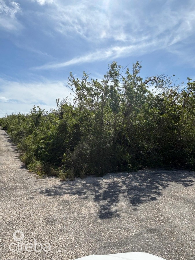 LITTLE CAYMAN EAST 0.3017 ACRES